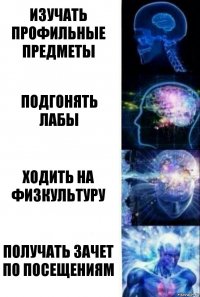 Изучать профильные предметы Подгонять лабы Ходить на физкультуру Получать зачет по посещениям