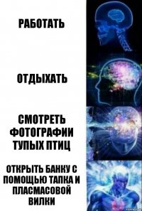 работать отдыхать смотреть фотографии тупых птиц открыть банку с помощью тапка и пласмасовой вилки