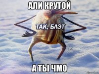 али крутой а ты чмо