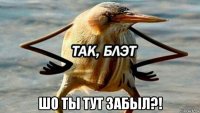  шо ты тут забыл?!