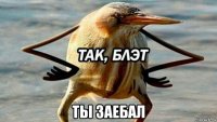  ты заебал