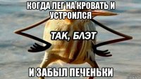 когда лег на кровать и устроился и забыл печеньки