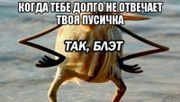 когда тебе долго не отвечает твоя пусичка 