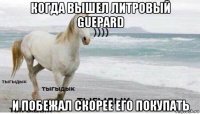 когда вышел литровый guepard и побежал скорее его покупать