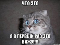 что это я в первый раз это вижу!!!!