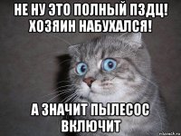 не ну это полный пздц! хозяин набухался! а значит пылесос включит