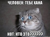 человек: тебе хана кот: кто это??????