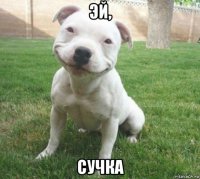 эй, сучка