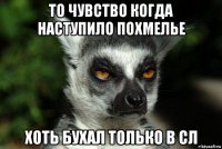 то чувство когда наступило похмелье хоть бухал только в сл