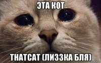 эта кот thatcat (лиззка бля)