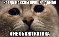 когда максим пришёл домой и не обнял котика