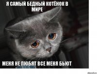 я самый бедный котёнок в мире меня не любят все меня бьют