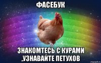 фасебук знакомтесь с курами ,узнавайте петухов