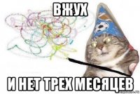 вжух и нет трех месяцев