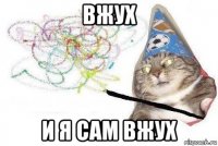 вжух и я сам вжух