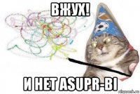 вжух! и нет asupr-bi