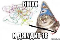 вжух и джудит 18