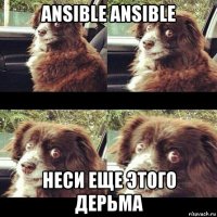 ansible ansible неси еще этого дерьма