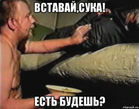 вставай,сука! есть будешь?