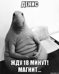 денис жду 18 минут! магнит...