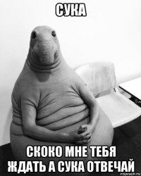 сука скоко мне тебя ждать а сука отвечай