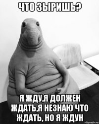 что зыришь? я жду,я должен ждать,я незнаю что ждать, но я ждун