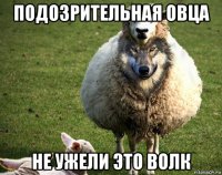 подозрительная овца не ужели это волк