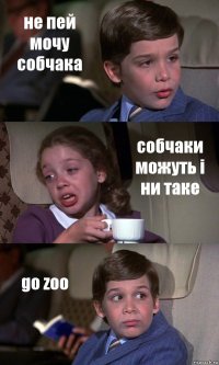 не пей мочу собчака собчаки можуть i ни таке go zoo