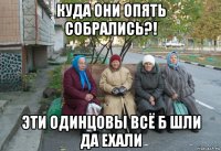 куда они опять собрались?! эти одинцовы всё б шли да ехали