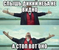 слышь дикий неба не видно а стоп вот оно