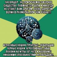 часоящер - не приручаемое эферное существо, повинуется боли и никогда не станет вам другом. очень дорогой. велик в размерах, при чем очень!!! иглозубые кошки (треуглы) - небольшие черные кошки. агрессивные, зубы похожи на иглы (от чего и название) никакими способностями не обладают.