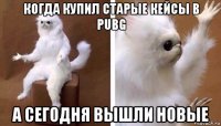 когда купил старые кейсы в pubg а сегодня вышли новые