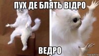 пух де блять відро ведро