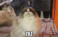  zbz