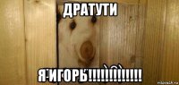 дратути я игорь!!!!!!!!!!!!!