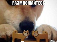 размножайтесь 