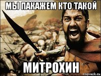 мы пакажем кто такой митрохин