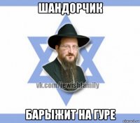 шандорчик барыжит на гуре