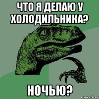 что я делаю у холодильника? ночью?