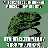 а что если все отмененные мелкософтом проекты станут в этом году экзами хуанхэ?