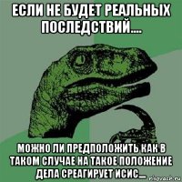 если не будет реальных последствий.... можно ли предположить как в таком случае на такое положение дела среагирует исис....