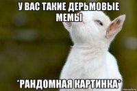 у вас такие дерьмовые мемы *рандомная картинка*