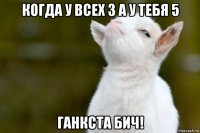 когда у всех 3 а у тебя 5 ганкста бич!