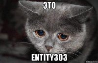 это entity303