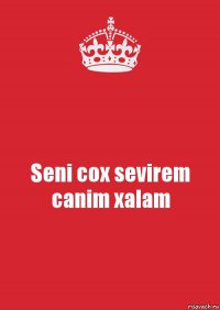 Seni cox sevirem canim xalam