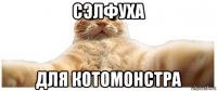 сэлфуха для котомонстра