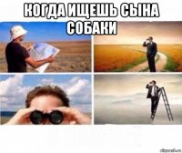 когда ищешь сына собаки 