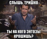 слышь, тришко ты на кого энтозы крошишь?