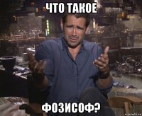 что такое фозисоф?