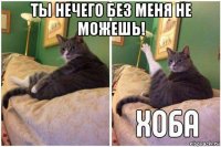 ты нечего без меня не можешь! 